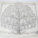 603 5571 FAMILY TREE